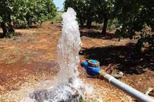 Η απαξίωση της γεωργίας