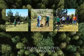 Η ELVIAL προστατεύει το περιβάλλον και αναδεικνύει την έννοια του εθελοντισμού