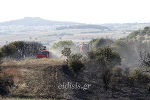 Πυρκαγιά σε δασικές ρεματιές στην Κάτω Ποταμιά Κιλκίς (ΒΙΝΤΕΟ-ΦΩΤΟ)