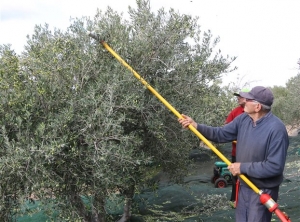Αποστόλου: Πώς θα αμβλυνθούν τα δύσκολα μέτρα για τους αγρότες