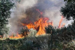 Πυροσβεστική: 53 πυρκαγιές το τελευταίο 24ωρο – Τι πρέπει να κάνετε όταν εκδηλωθεί φωτιά