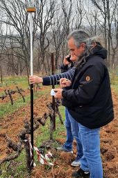 Έργο ψηφιακής αποτύπωσης των μοναδικών χαρακτηριστικών του terroir της αμπελουργικής ζώνης της Γουμένισσας