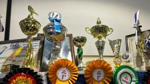 Η μουσική διαγωνιστική σκηνή των καναρινιών στη Θεσσαλονίκη