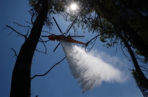 Πυρκαγιά στο Μαρκόπουλο Μεσογαίας