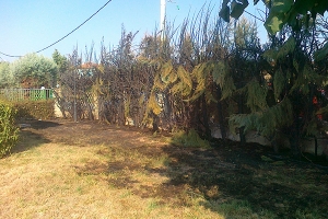 Πυρκαγιά στον περιβάλλοντα χώρο του Δημοτικού Κολυμβητηρίου Ευρωπού