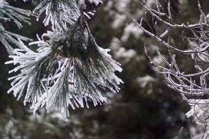 Έκτακτο δελτίο για επικίνδυνα καιρικά φαινόμενα από το Σάββατο 22/1