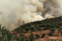 Σε εξέλιξη φωτιά σε χαμηλή βλάστηση στη Σαλαμίνα