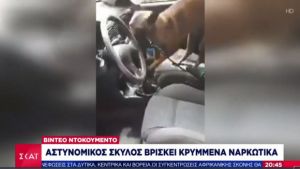 Η στιγμή που σκύλος της ΕΛ.ΑΣ. βρίσκει κρυμμένα ναρκωτικά - Εξάρθρωση σπείρας (vid)