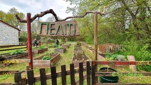 Η γιορτή σπόρων του Πελίτι στη Δράμα: Χιλιάδες συμμετοχές σε μια μοναδική εκδήλωση ανταλλαγής και πολιτισμού