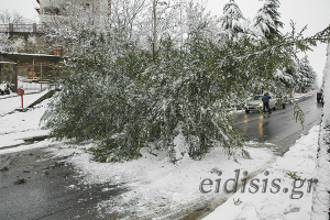 Επιχείρηση-αστραπή της Πυροσβεστικής Γουμένισσας