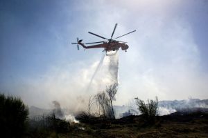 Κύπρος: Πυρκαγιά στο Πραστείο Αυδήμου