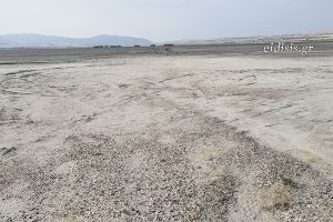 Η Πικρολίμνη συνέρχεται