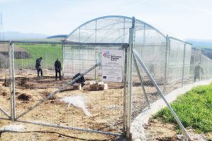 Λειτουργεί το θερμοκήπιο του Κέντρου Κοινωνικής Στήριξης στον Προφήτη Ηλία Κιλκίς: Ευχαριστήριο προς τους χορηγούς και τους υποστηρικτές