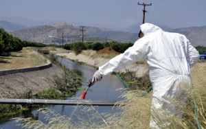 Περιφέρεια Κεντρικής Μακεδονίας: Άρχισε ήδη, νωρίτερα από ποτέ, το φετινό πρόγραμμα καταπολέμησης των κουνουπιών