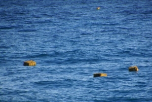 Νέα τραγωδία με πρόσφυγες στις τουρκικές ακτές - 38 νεκροί ανάμεσά τους 11 παιδιά