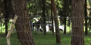 Μητροκτονία στη Χαλκηδόνα: Άφαντος ο 34χρονος δράστης – Φόβοι για αυτοκτονία