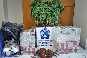 Από το Αστυνομικό Τμήμα Παιονίας συνελήφθησαν 2 άτομα για καλλιέργεια κάνναβης