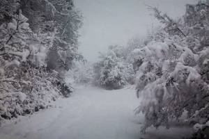 Βροχές, καταιγίδες και χιόνια την Κυριακή - Σε πτώση η θερμοκρασία