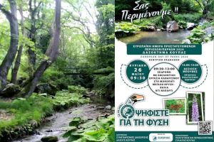 Ψηφίζουμε για τη Φύση