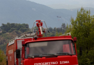 Πυρκαγιά στον Αυλώνα Αττικής