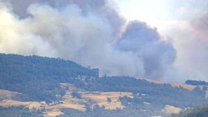 Αυστραλία: Συστάσεις για απομάκρυνση πολιτών λόγω επικίνδυνων πυρκαγιών στη Νέα Νότια Ουαλία