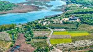 Ιάπωνας διπλωμάτης εν μέσω ανθισμένων κερασιών στην Πέλλα
