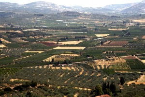 Τώρα η αίτηση, έως 31 Αυγούστου τα τοπογραφικά για τακτοποίηση αγροτεμαχίων