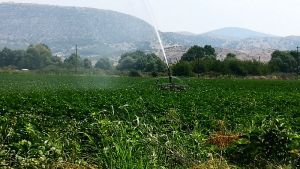 Επιπτώσεις της κλιματικής αλλαγής στην παραγωγικότητα των εργαζομένων: Νέα μελέτη αποκαλύπτει τους κινδύνους ####