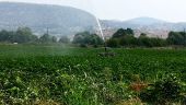 Επιπτώσεις της κλιματικής αλλαγής στην παραγωγικότητα των εργαζομένων: Νέα μελέτη αποκαλύπτει τους κινδύνους ####