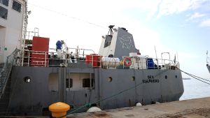 Ανοιχτό για το κοινό το Sea Eagle που απελευθερώνει χταπόδια από παγίδες