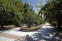 Λογομαχία με πυροβολισμούς και θύμα ένα σκύλο στην Πατησίων