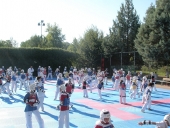 Camp Tae Kwon Do WTF στα Τρίκαλα