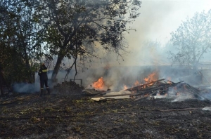 Πυρκαγιά σε αγροτοδασική έκταση στην Αργολίδα