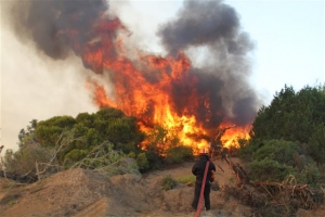 Σε εξέλιξη πυρκαγιά σε αγροτοδασική περιοχή στο Κάστρο Κυλλήνης Ηλείας