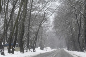 Κρύο και βροχές σε όλη τη χώρα - Στα «λευκά» η Εύβοια
