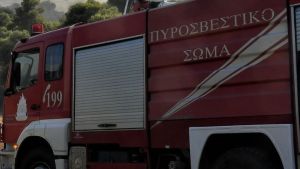 Ολονύχτια μάχη με τις φλόγες στο όρος Πάικο στην περιοχή Κρανιά