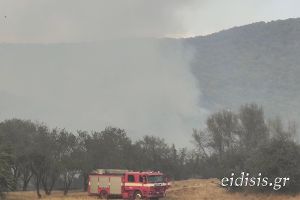Νέο πύρινο μέτωπο στην Καλλιρόη στο λεκανοπέδιο Μουριών του Κιλκίς