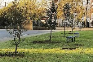 Παγκόσμια Ημέρα της Γης με δεντροφύτευση στο Γυμνάσιο Πολυκάστρου