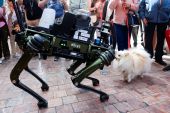 Ισπανία: Σκύλος – ρομπότ εντοπίζει τροχαίες παραβάσεις (ΒΙΝΤΕΟ)