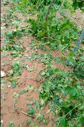 Τεράστιες καταστροφές από την κακοκαιρία στον Άγιο Πέτρο Κιλκίς