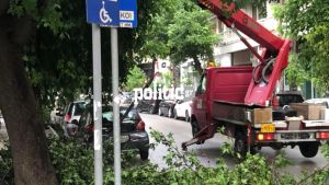 Θεσσαλονίκη: Πτώσεις δέντρων εξαιτίας των ισχυρών ανέμων