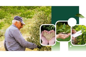 Ολοκληρώθηκε με επιτυχία η κατάρτιση 20 αγροτών του ν. Δράμας για την αγροτική επιχειρηματικότητα και τις εναλλακτικές καλλιέργειες αρωματικών και φαρμακευτικών φυτών