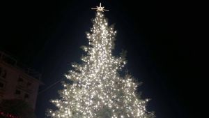 ΔΗΜΟΣ ΘΕΣΣΑΛΟΝΙΚΗΣ ΠΡΟΓΡΑΜΜΑ ΑΝΑΚΥΚΛΩΣΗΣ ΤΩΝ ΦΥΣΙΚΩΝ ΧΡΙΣΤΟΥΓΕΝΝΙΑΤΙΚΩΝ ΔΕΝΤΡΩΝ