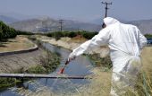 Θεσσαλονίκη – Ημαθία: Ψεκασμοί εναντίον των κουνουπιών