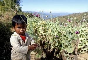 ΟΗΕ: Αύξηση θανάτων λόγω αυξημένης παραγωγής ηρωίνης