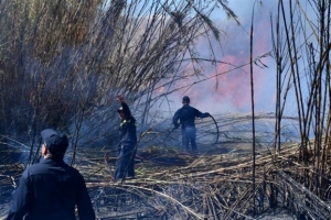 Δασικές πυρκαγιές σαρώνουν το Πιεμόντε και τη Λομβαρδία