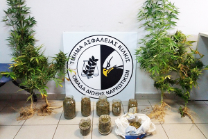 Πιάστηκε να καλλιεργεί και να κατέχει χασίς