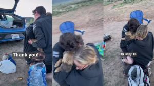 Ετοιμαστείτε να κλάψετε: Σκύλος επανασυνδέεται με την οικογένεια του μετά από τέσσερις μέρες στην Έρημο (ΒΙΝΤΕΟ)