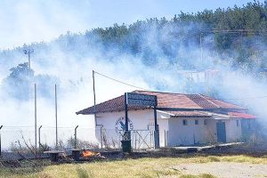 Κινδύνεψε να καεί το πευκοδάσος του Π. Γυναικοκάστρου