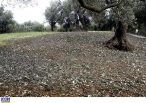 Ξεκινούν οι αιτήσεις για την καταβολή των Κρατικών Οικονομικών Ενισχύσεων